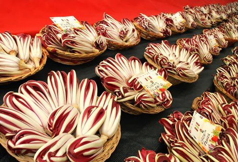 Il fiore che si mangia, Eventi - La Vacanza in Camper ...