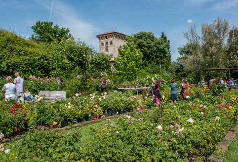 Aree di sosta incontri gay lombardia Aree di sosta incontri gay lombardia