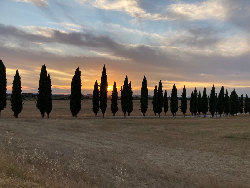 20220328-Itinerari-Toscana-Crete Senesi-paesaggio- cipressi