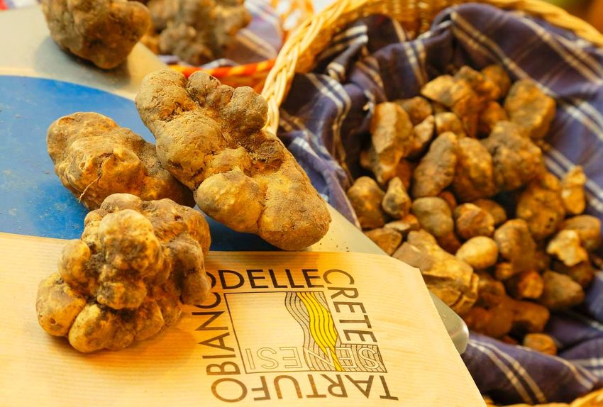 20220328-Itinerari-Toscana-Crete-Senesi-tartufo-bianco-2