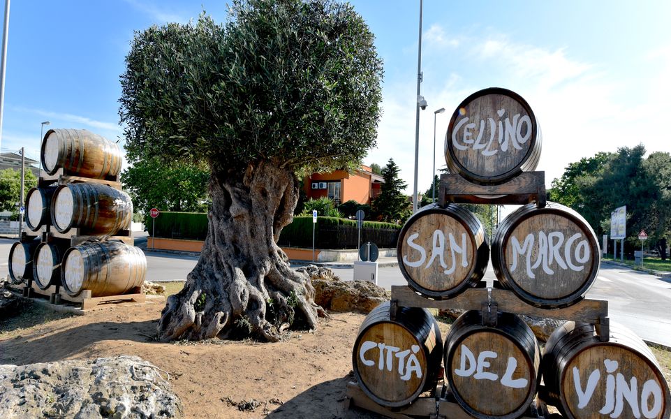 Cellino_Citta-del-vino