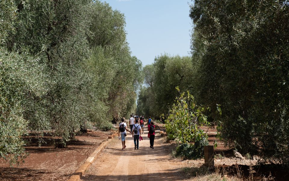 Passeggiate-nella-natura-Rural-Wellness