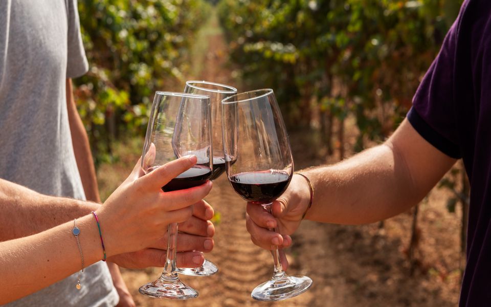 Percorsi-enogastronomici-ed-esperienze-turistiche