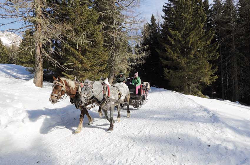 20220429-Veneto-San Pellegrino ciaspolata per il rifugio Fuciade