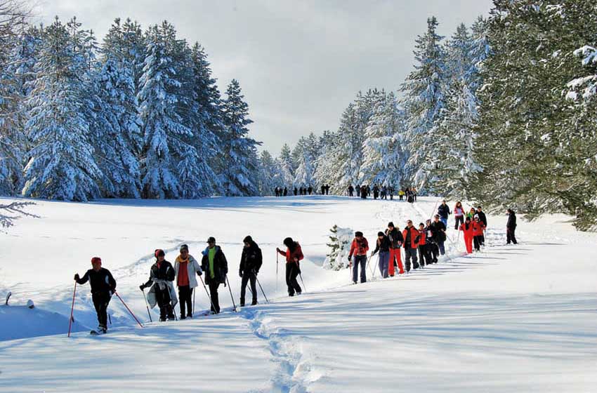 Fila di pesona in ciaspole sul Grande Pianori di Carlomagno. Calabria