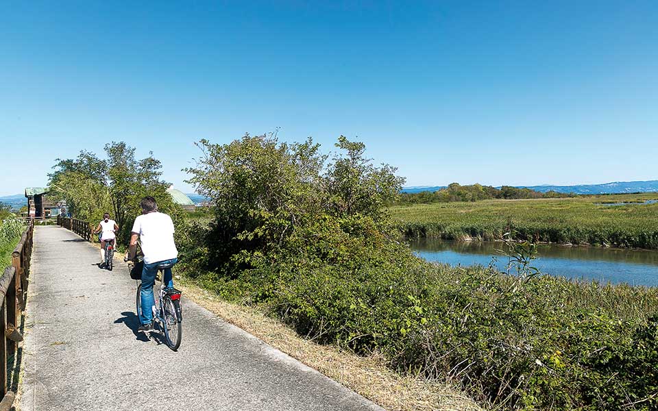 20220404_pista-ciclabile-verso-Punta-Sdobba