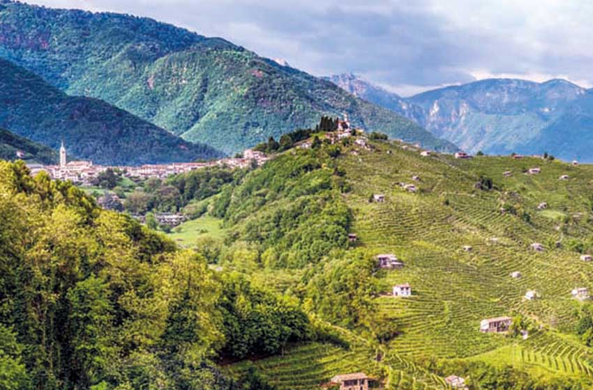 Veneto-Valdobbiadene-colline-vigne-borgo