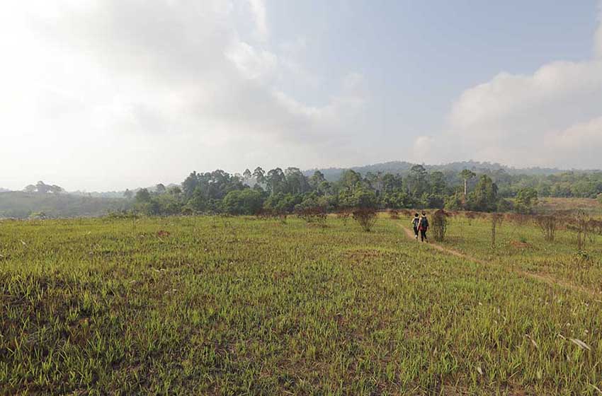 20220429_141_Parco-nazionale-Khao-Yai_sentiero-km33_torre-avvistamento_Nong-Pak-Chi