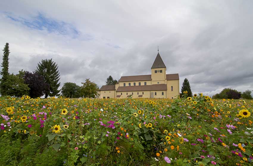 fioriture-davanti-chiesa-San-Giorgio