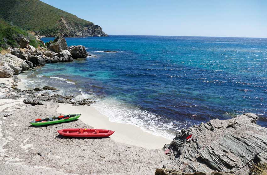 20220503_Kalamos