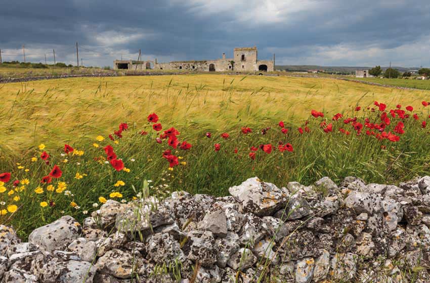 20220504-Puglia-Paesaggio-campagna-laertina