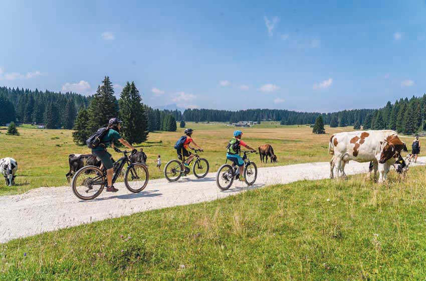 20220504-Trentino AA-Alpe Cimbra-Malga Millegrobbe itinerario in mountain bike
