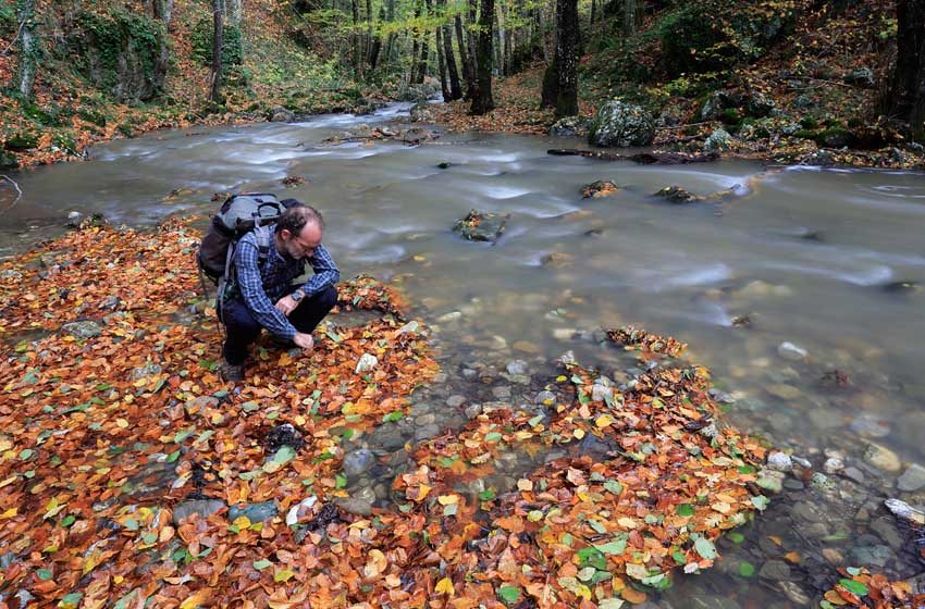 20220504_torrente-Peschiera_bosco-Magnano