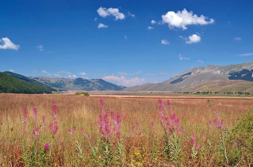 l'altopiano delle Cinquemiglia