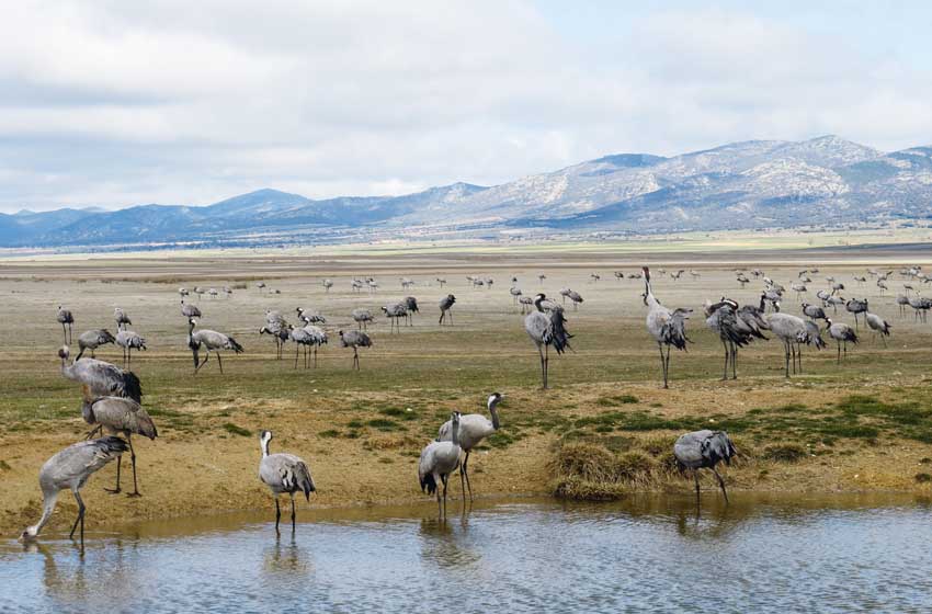20222804_riserva-di-Gallocanta