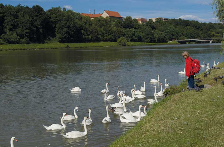 20222904_La-Drava2