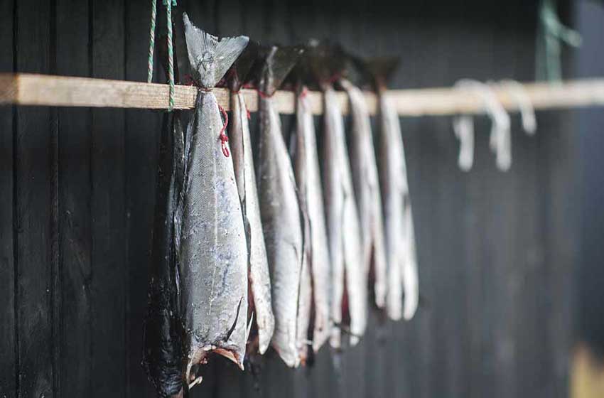 Pesce fermentato presso le banchine del porto