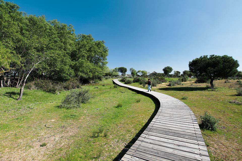Camminamenti in legno nel parco del Doñana, presso El Acebuche