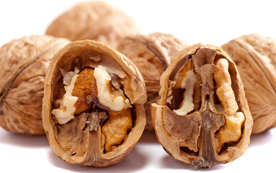 noci cibo allunga vita