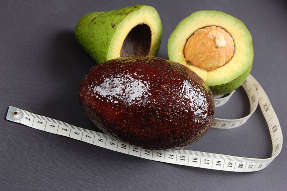 Avocado1_ff