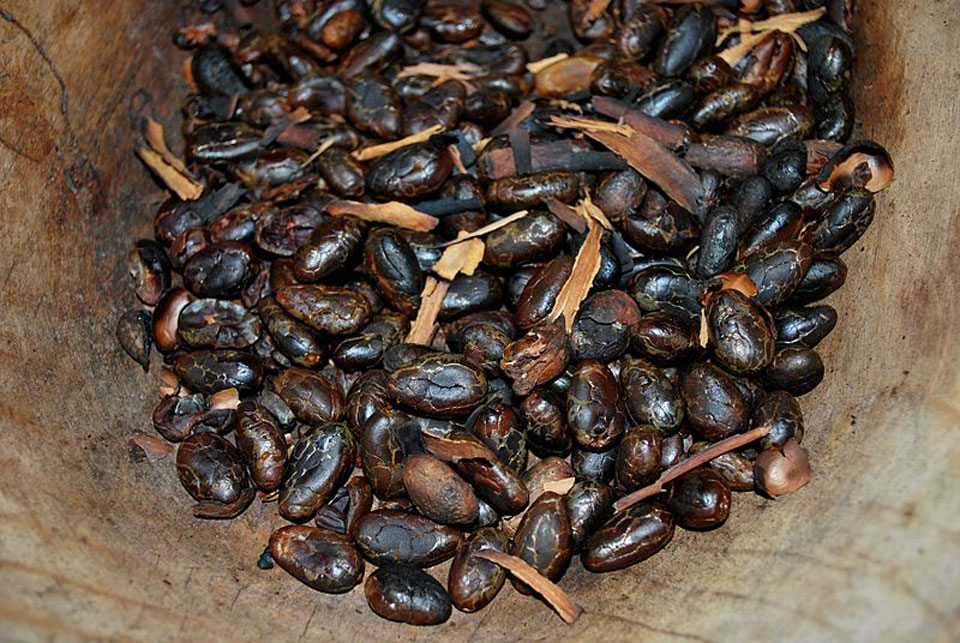 Semi di cacao