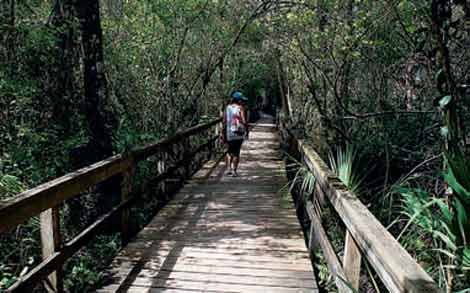 Parco nazionale delle Everglades