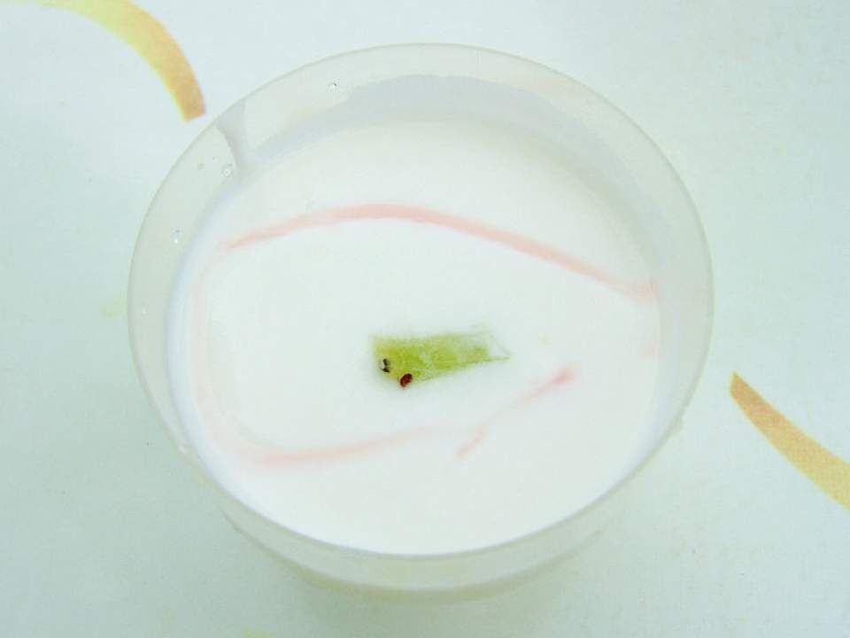 Yogurt2_4ff
