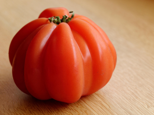 pomodorino_ff
