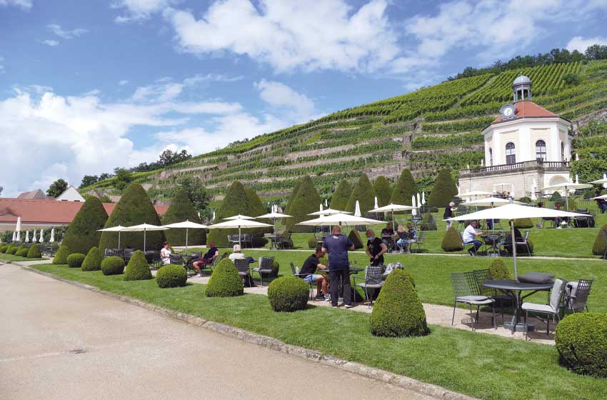 Germania-Sassonia-Radebeul-giardini
