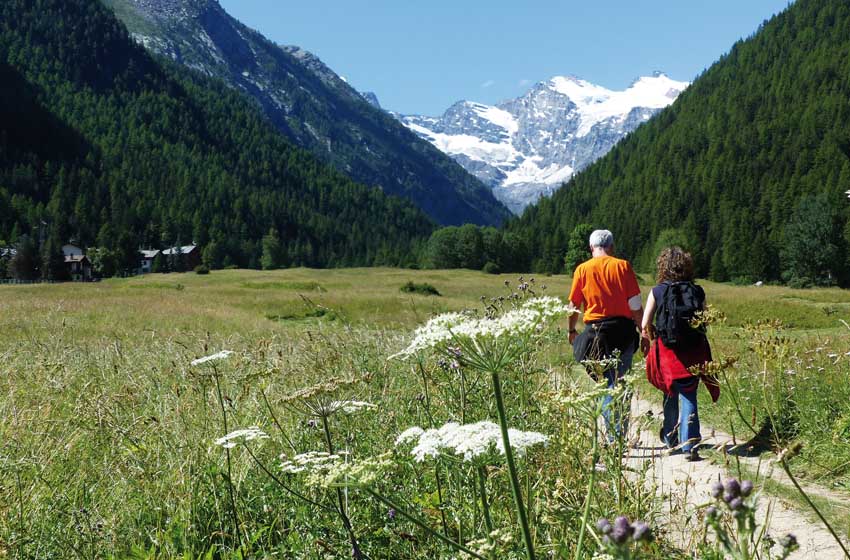 Valle d'Aosta-Cogne-Prati di Sant'Orso