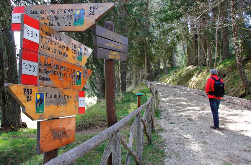 Sentieristica nell'arboreto di Fossiata, Calabria
