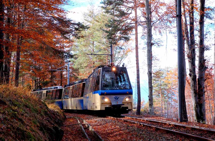 Piemonte-Svizzera-Treno del Foliage-bosco-autunno