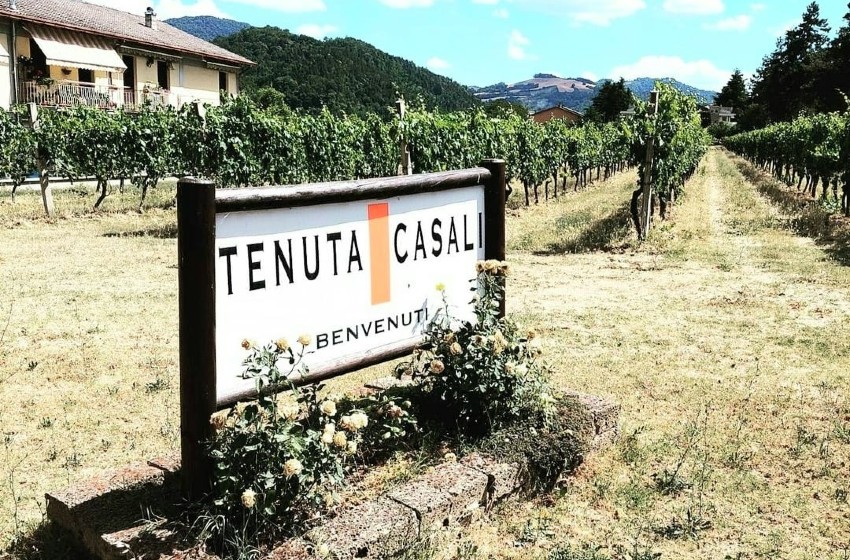 Tenuta-Casali-ingresso
