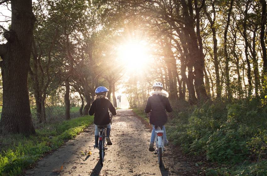 bici foresta