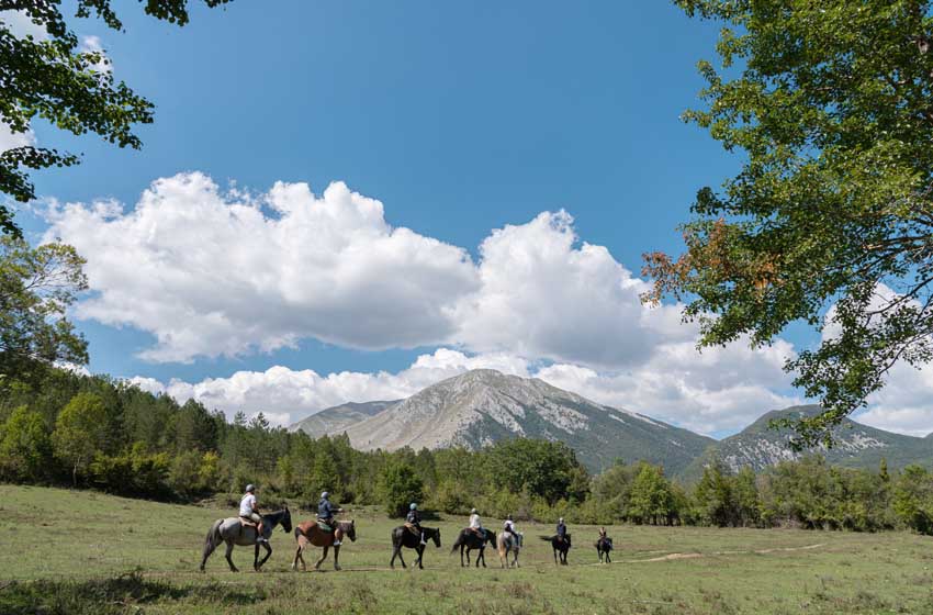 Parco-Naz.-Abruzzo-cavalli