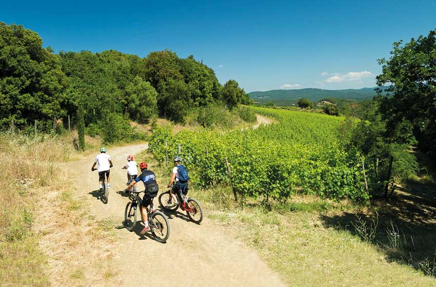 Toscana in camper-Suvereto-Val di Cornia-bici-vigneti-cantina I Mandorli