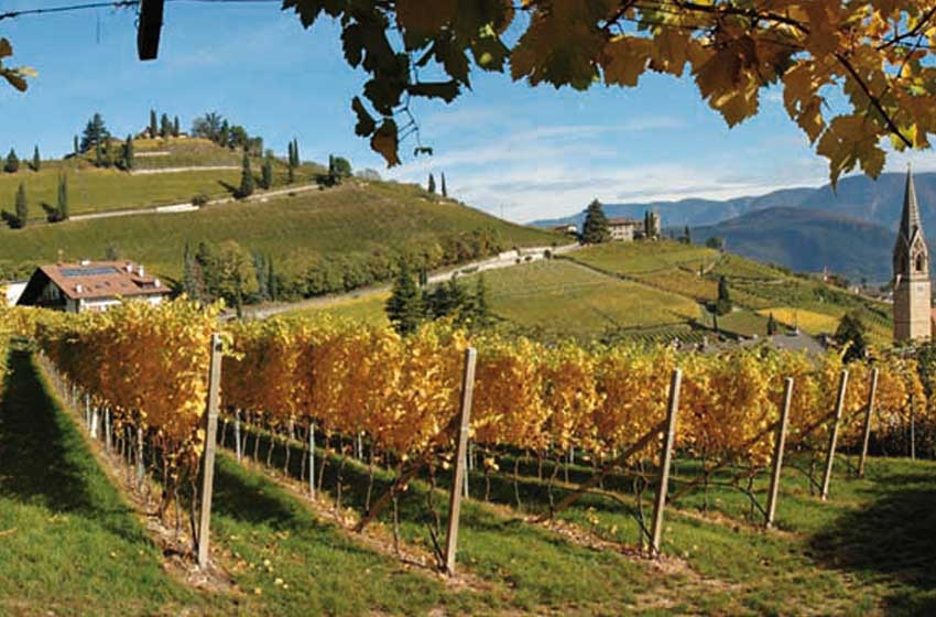 Alto Adige-Termeno-vigneti-Strada del Vino-campanile-case-autunno