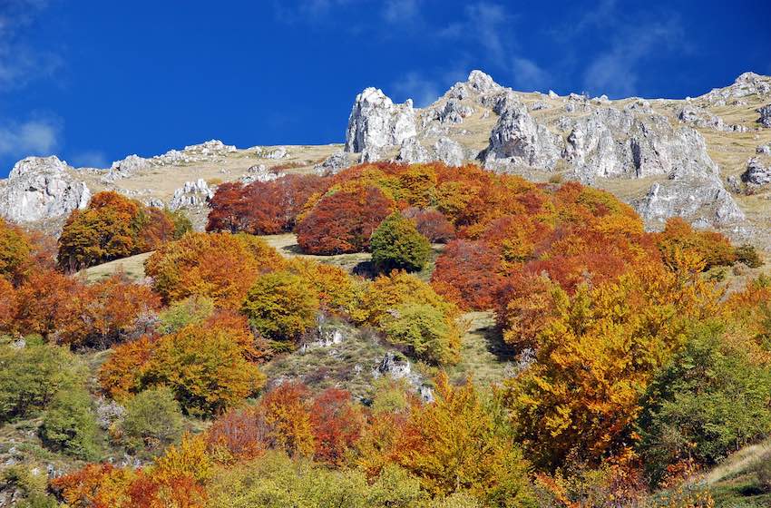 Fotografare l’autunno bosco