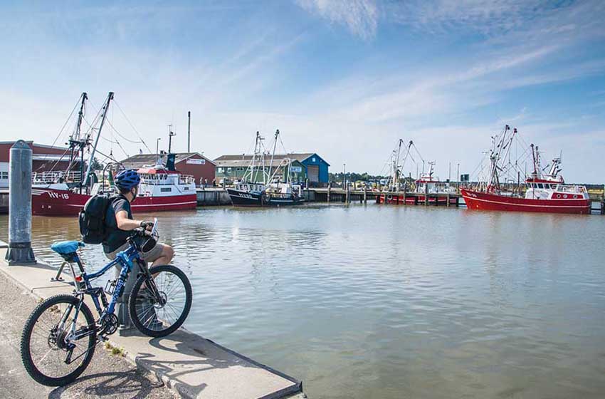 Danimarca-Jutland-bici-porticciolo isola di Romo-ciclista-barche