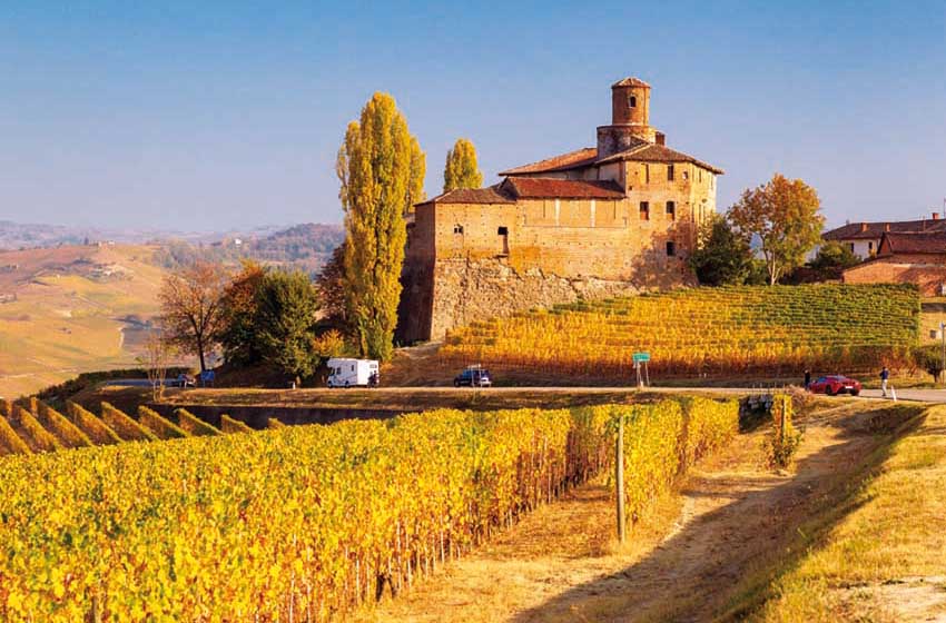 Piemonte-Langhe-camper-Barolo-Castello della Volta-vigneti