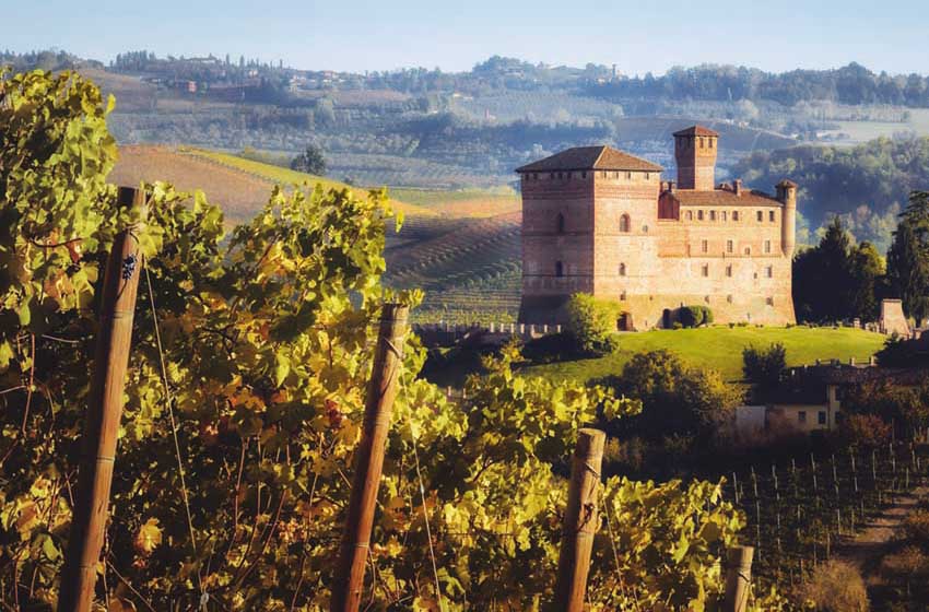 Piemonte-Langhe-castello di Grinzane Cavour-vigneti 