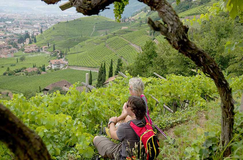 Alto Adige-Bolzano-panorama sull citta tra le vigne