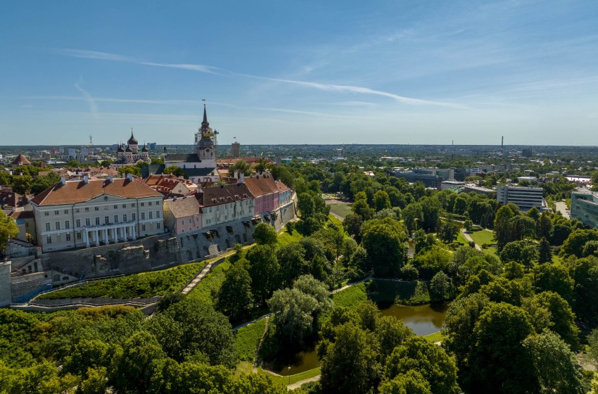 Estonia-Tallin-veduta della città dall'alto-alberi-case