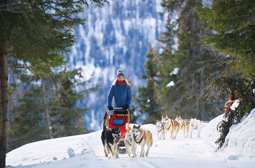 Lombardia-Valtellina-Bormio-sleddog-cani-neve-alberi-slitta