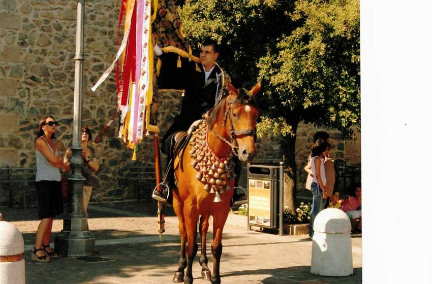 Dardegna-Pattada-Festa della Madonna del Carmine-uomo a cavallo