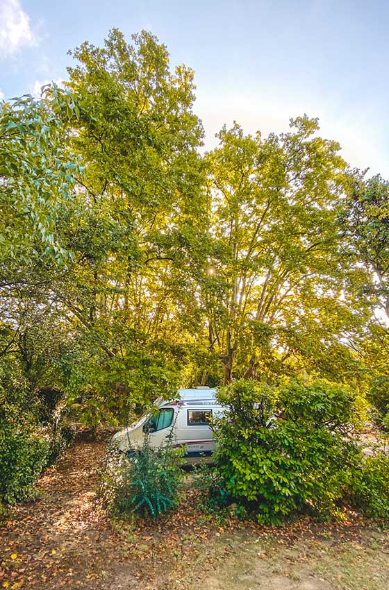 camper tra gli alberi