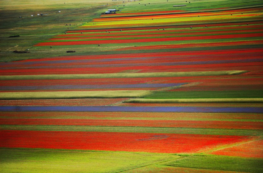 castelluccio-di-norcia