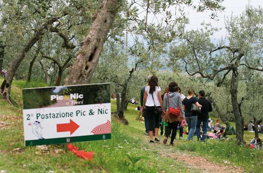 Umbria-Trevi-Picnic-ulivi-gente che cammina