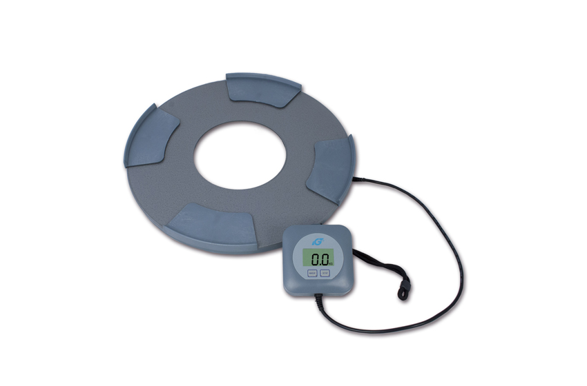 iGasView bilancia e display senza bombola