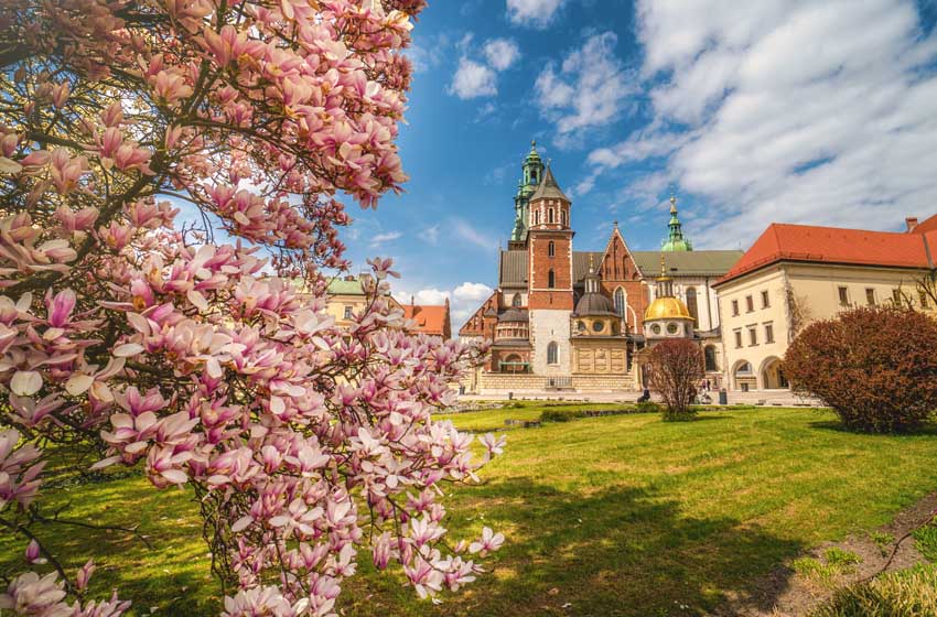 Il castello di Wawel